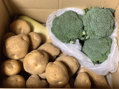 みんなの投稿の画像