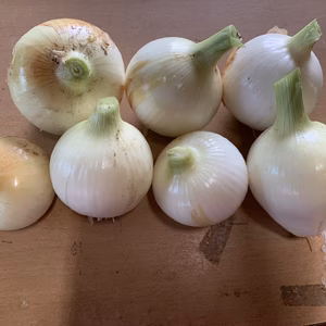 熊本県　八代産　農薬不使用　サラダ玉ねぎ