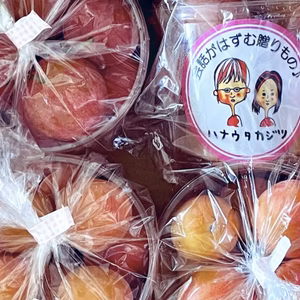 【家庭用】すももハニーローザ300g入りパック×4パック