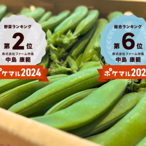 \\累計1万箱販売‼︎//鮮度日本一❗️甘シャキッ❗『おのんすなっぷえんどう』