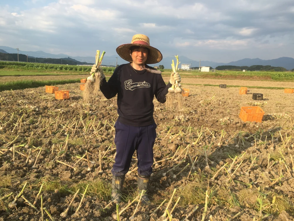 【大特価】大容量1kg+100g増量中<R5年産>訳ありにんにくバラ小粒農薬不使