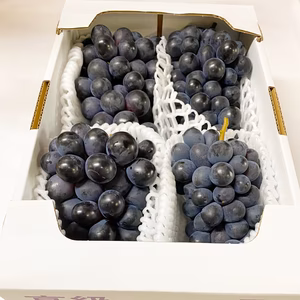 [濃くて甘い糖度16〜18]クイーンベリーA2kg　3から4房