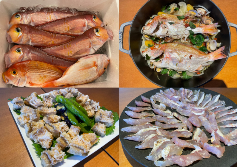 安くてうまい 連子鯛 レンコダイ キダイ 農家漁師から産地直送の通販 ポケットマルシェ