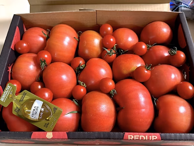 みんなの投稿の画像