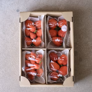 おまかせ / とっておき苺 / 約200g×4パック
