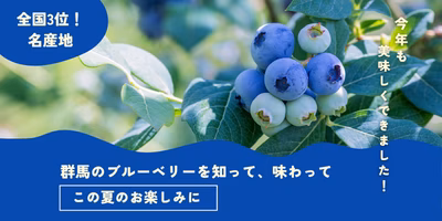 実は全国3位の産地！群馬のブルーベリーを知って、味わって🫐この夏のお楽しみを😊