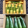 【鹿児島産】甘塩花ズッキーニ12本・甘塩ズッキーニ1キロ^_^