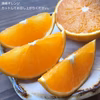 濃厚な甘さ！ご家庭向きの清峰オレンジ【農薬不使用】