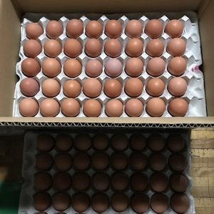 河内山養鶏場の卵（Mサイズ80～160個）/九州、沖縄地方への配送