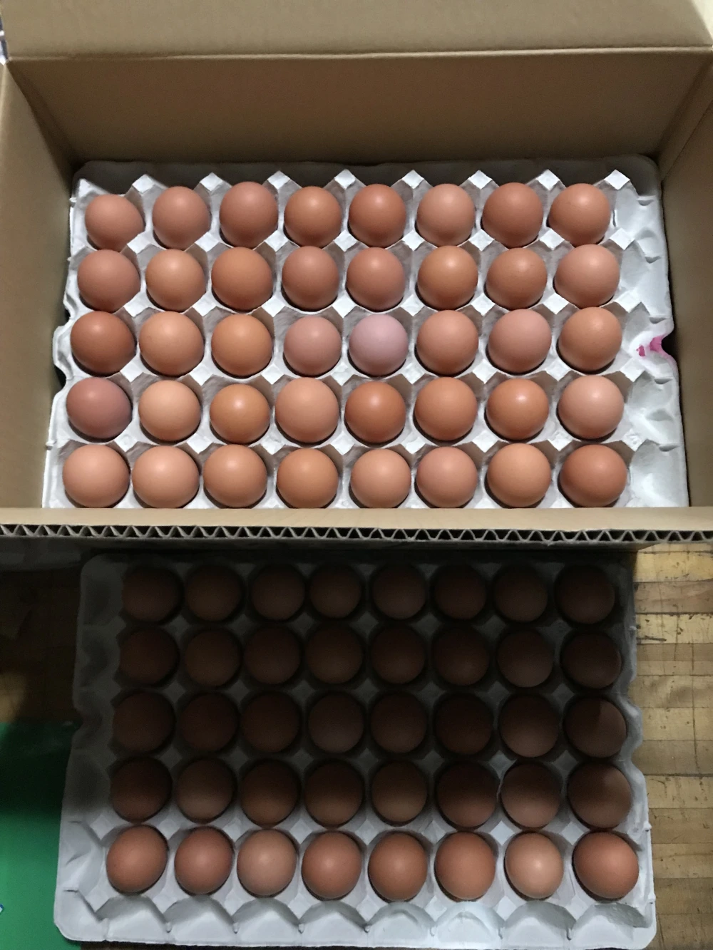 河内山養鶏場の卵（Mサイズ80～160個）/東北、関東、信越地方への配送