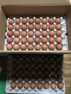 河内山養鶏場の卵（Mサイズ80～160個）