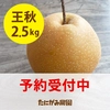 ｢予約数量限定｣鳥取県_王秋(おうしゅう)梨2.5キロ箱(5-6玉入)*2ｾｯﾄ