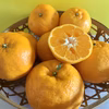 【福袋2026】食べやすいポンカン【農薬不使用】3.5kg