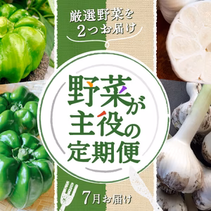 厳選野菜を2つお届け「野菜が主役の定期便」