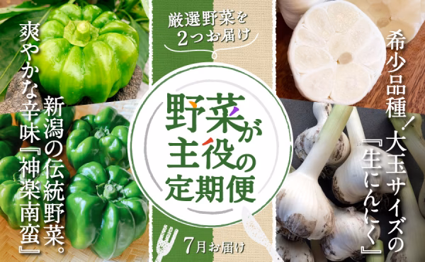 厳選野菜を2つお届け「野菜が主役の定期便」