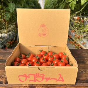 Nago's レギュラーミニトマト