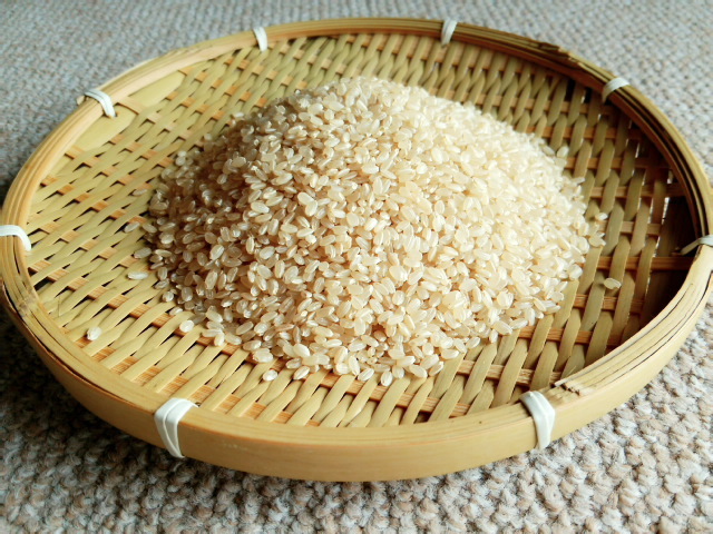 もう何も言えない 発芽用玄米10kg 5年産コシヒカリ 特別栽培① 農薬