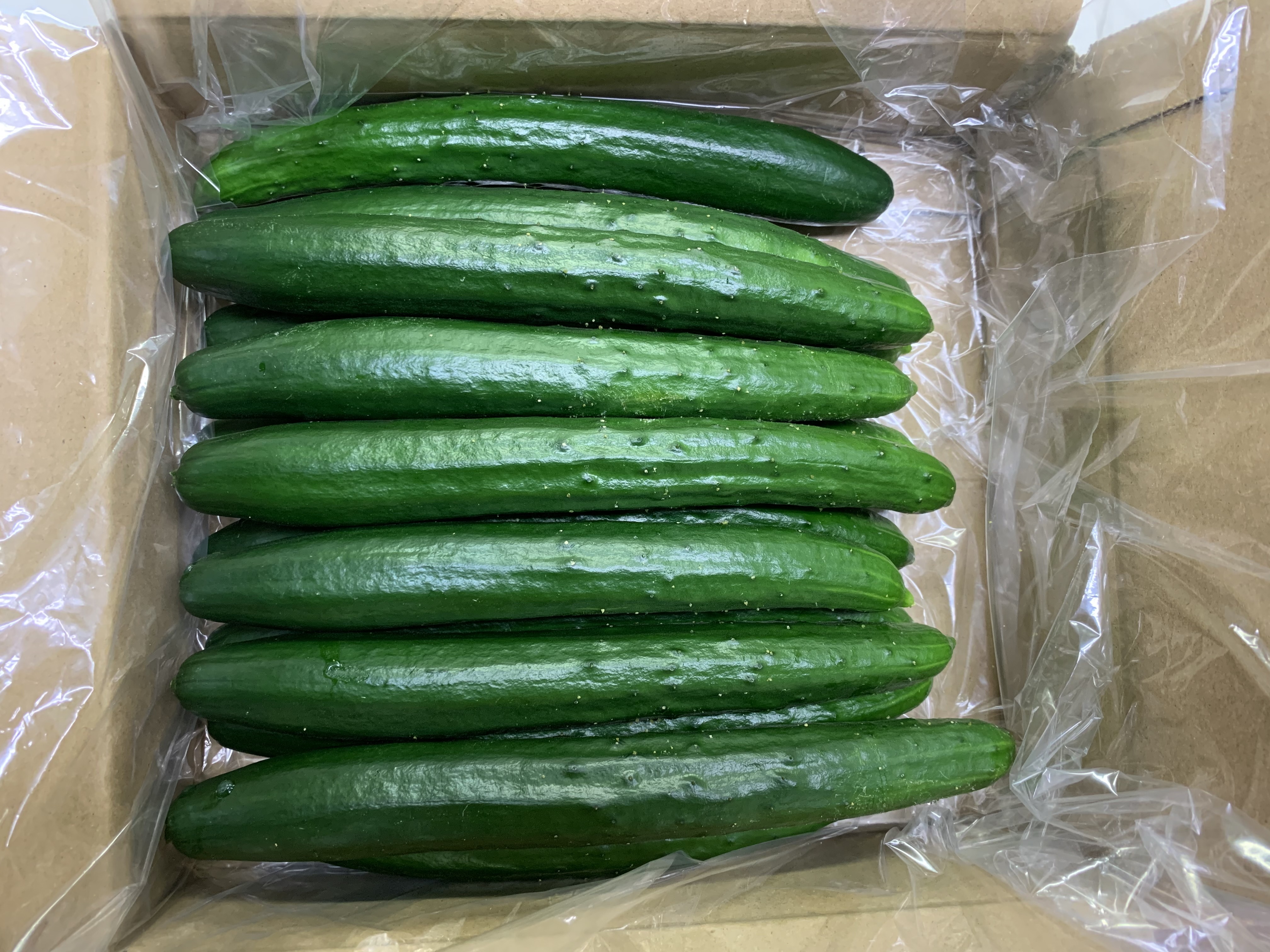 宮崎県宮崎市｜里の華村｜中邨里香さんの生産者プロフィール｜ポケット