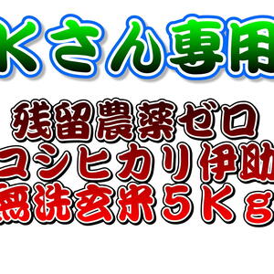 Kさん専用 R２年新潟産コシ伊助 ６年連続残留農薬ゼロ　無洗玄米5Ｋｇ