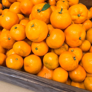 傷ありみかん10kg数量限定出品!!