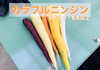 彩り鮮やかなカラフルニンジン
