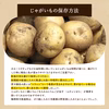【予約販売】宮崎産 じゃがいも 3kg オホーツクチップ