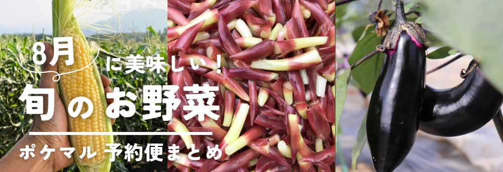 8月に旬の野菜