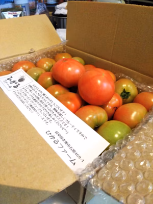 みんなの投稿の画像