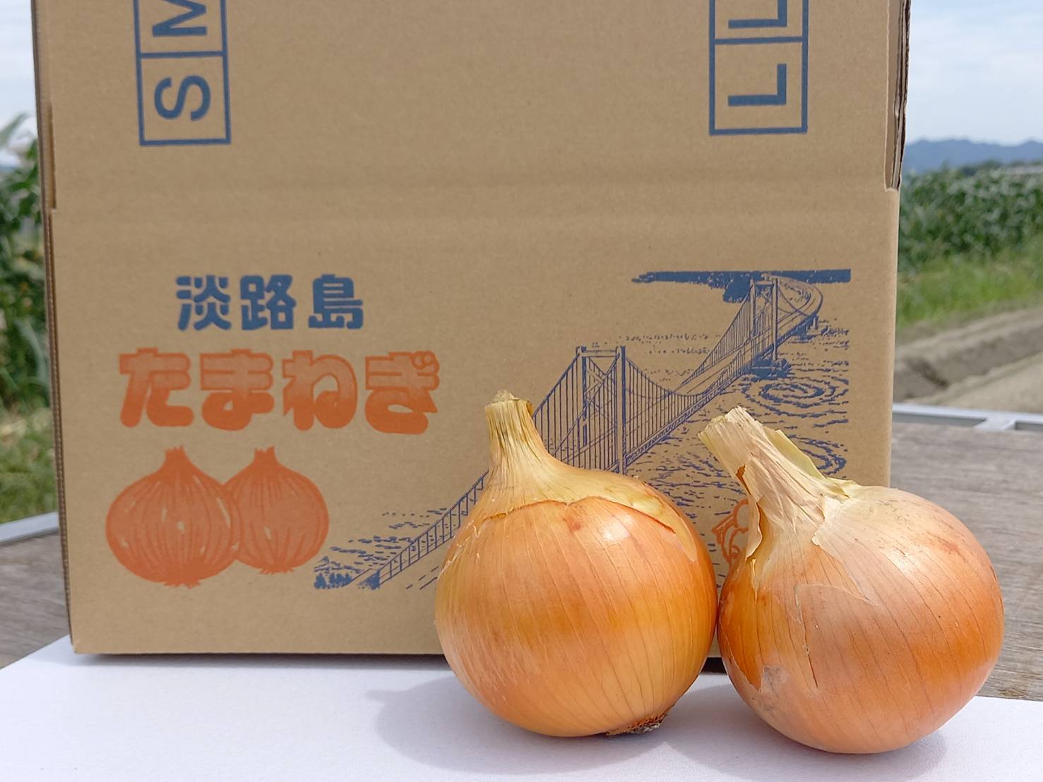 ちょい訳あり淡路島産♪完熟玉ねぎ 箱込み3kg★長期保存用 箱込み約3Kg