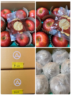 みんなの投稿の画像