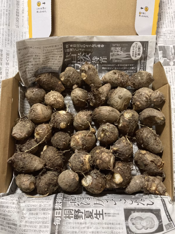 小芋　里芋　宅急便コンパクトに入るだけ約1〜1.2キロ