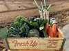 【お試しBOX】食べ頃”旬”野菜せっと（6品）【農薬、化学肥料なし】