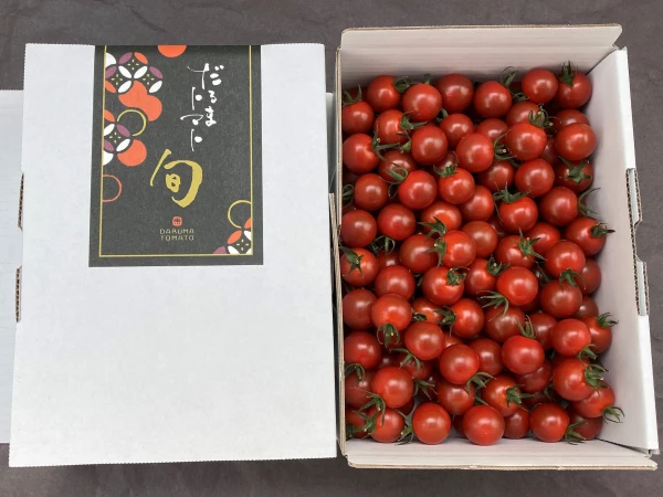 【4月末までの期間限定】「だるまトマト旬」お得な1kg×2箱セット