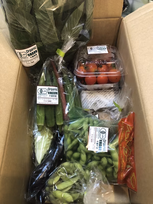 みんなの投稿の画像