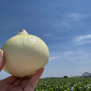 サラダで焼きで！あなた史上『1番美味しい玉ねぎ』になりたい【オニまる】