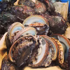 漁師直送！！伊豆の美味しい　アワビ　鮑　小さめサイズ　活かしアワビ