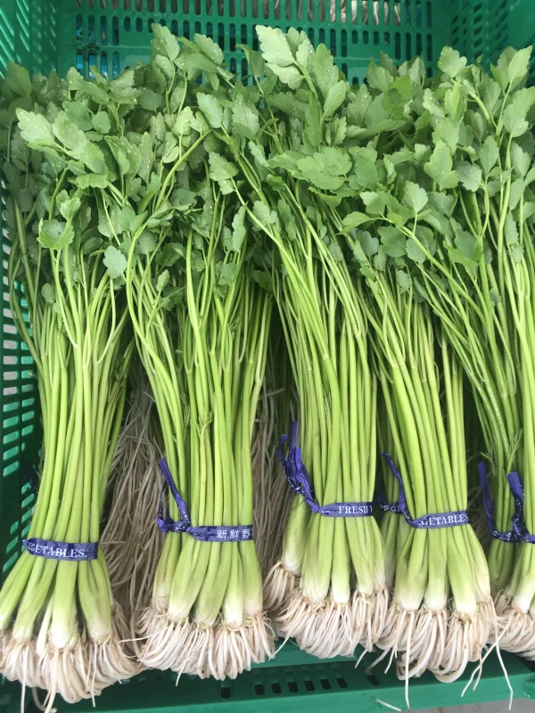 セリしゃぶセット】三関産せり しゃぶしゃぶ 秋田県 せり 鍋 ｜野菜の