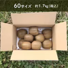 【約1.7㎏（箱込)】おうちで追熟！食べ頃を一緒に待つキウイ　家庭用