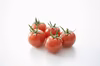[2026/1月中発送]トマト好きが、恋をする。　　金赤トマトミニ