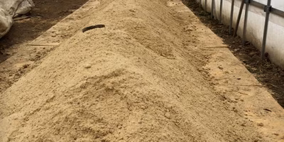 発酵してくれ&#8230;.!!発芽してくれ&#8230;.!!