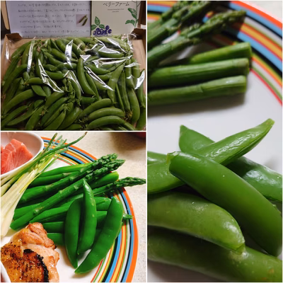 みんなの投稿の画像