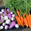 九州産 無農薬野菜とお米のセット