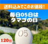 毎月05日はタマゴの日‼　×120個!!【国産鶏おまかせMIX】