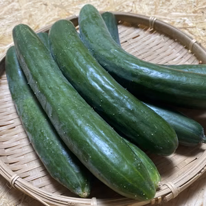 きゅうり　2キロ