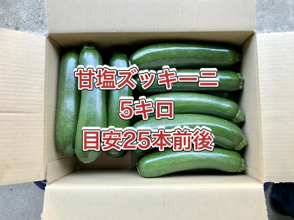 鹿児島産】甘塩ゴーヤ箱込み3キロ^_^