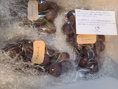 みんなの投稿の画像