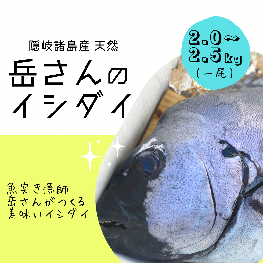 魚介類の産直通販・お取り寄せ商品｜ポケットマルシェ｜産地直送で旬の