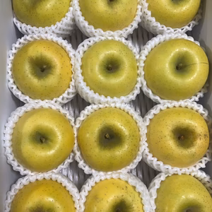 ギフト　シナノゴールド　約2.8キロ以上12玉入　甘酸適和でシャキシャキ❗️