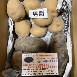 ジャガイモ２種の食べ比べセット（栽培期間中無農薬）