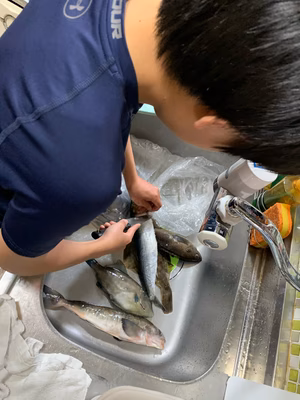 みんなの投稿の画像